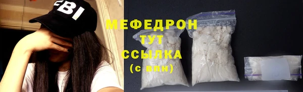 молекула духа Богородицк
