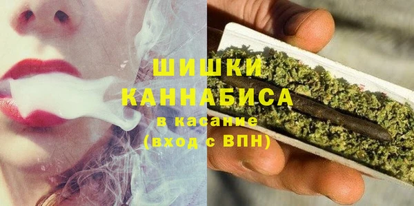 молекула духа Богородицк