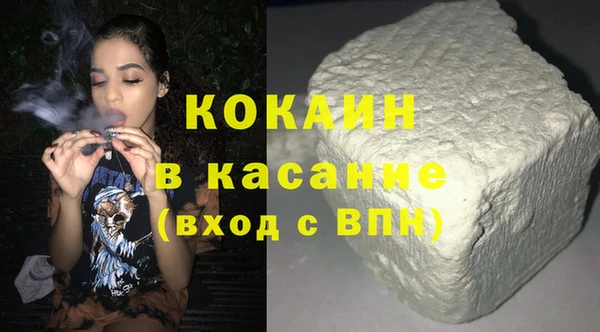 молекула духа Богородицк