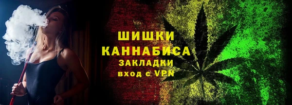 молекула духа Богородицк