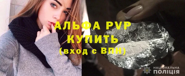 молекула духа Богородицк