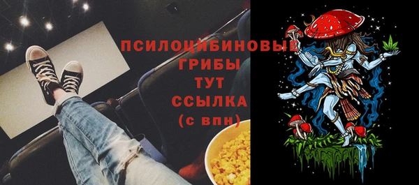 марки nbome Бородино