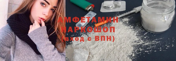 молекула духа Богородицк
