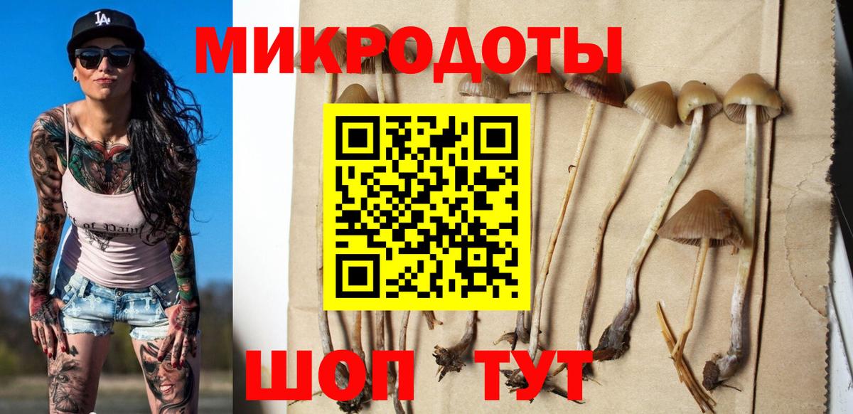 Псилоцибиновые грибы Magic Shrooms  Вход с VPN  Гай 